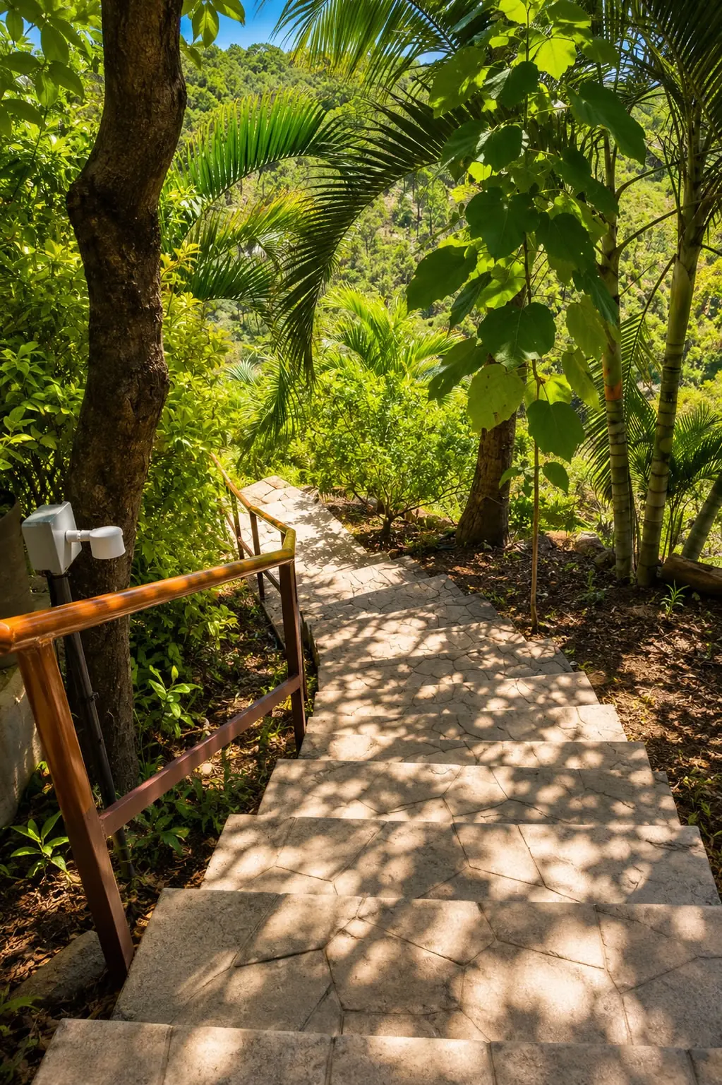 Sendero entre la vegetación del complejo